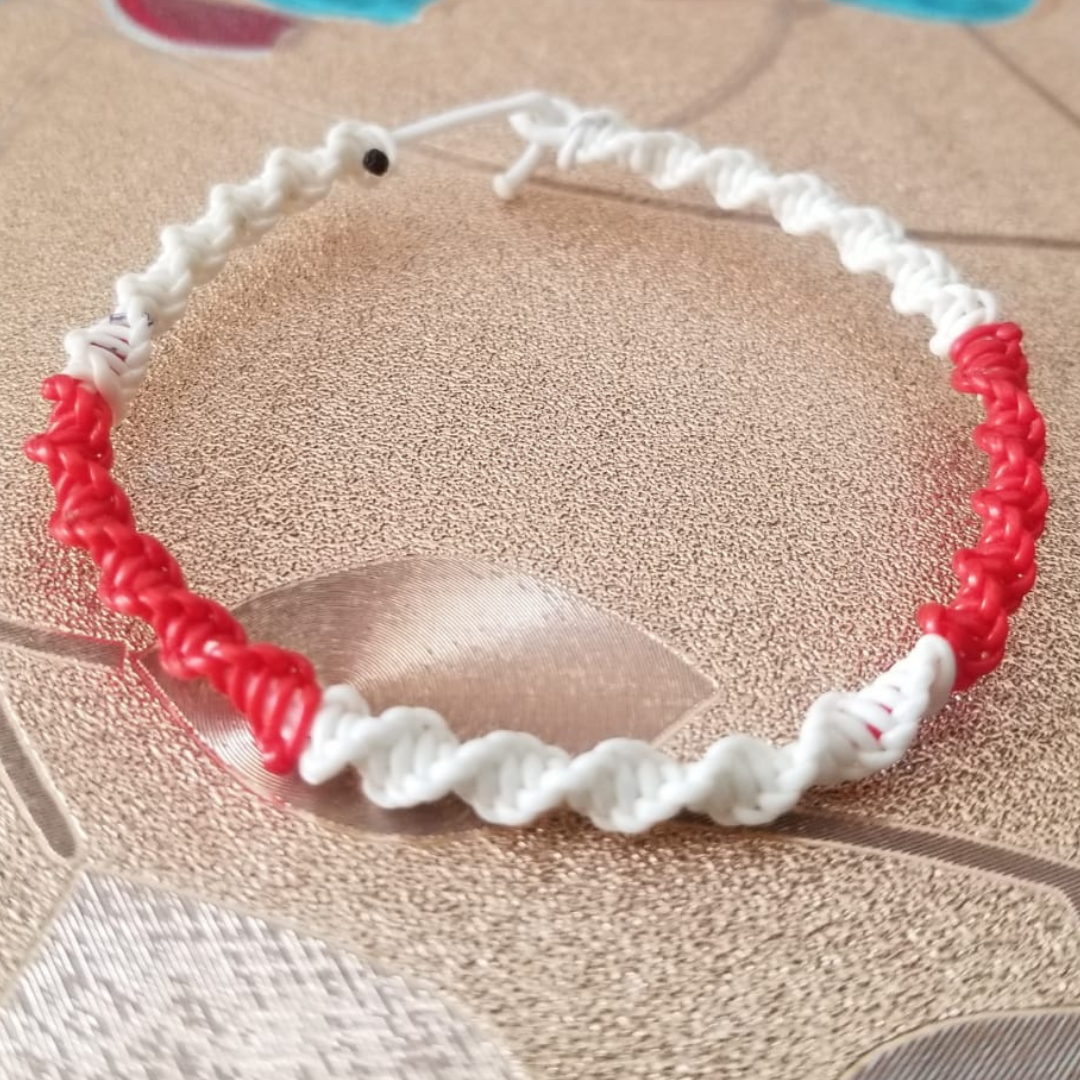 Segmented Harmony DNA Bracelet